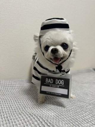 レビュー886-投稿画像3