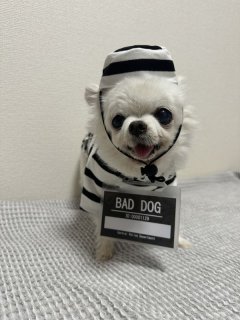 レビュー886-投稿画像3