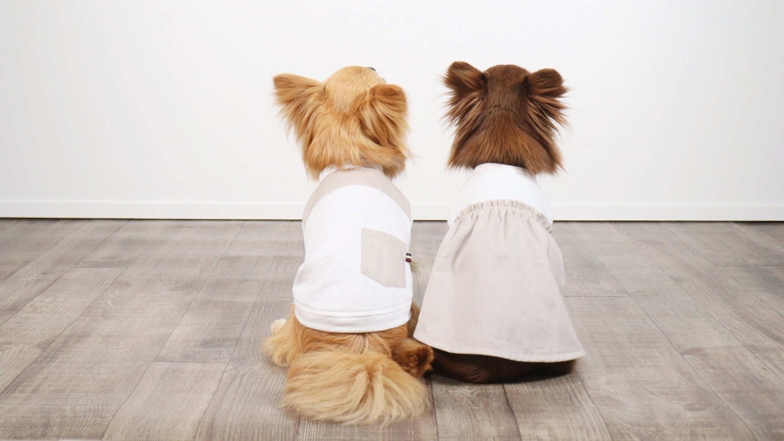 Naoさま専用☺︎わんこふく　犬服 楽天市場】犬服 戌壱 ニッカポッカ パピー 超小型犬 1号 小型犬