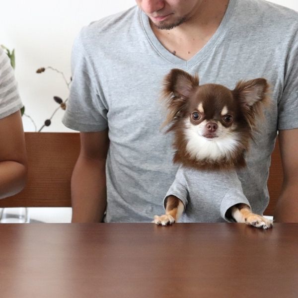 画像17: 蚊よけ生地のTシャツ（カモフラポケット×グレー） (17)