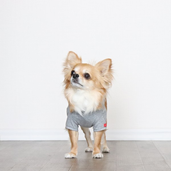 画像13: 蚊よけ生地のTシャツ（カモフラポケット×グレー） (13)