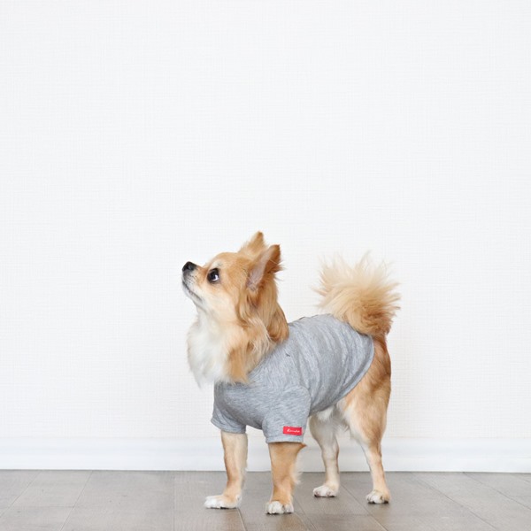 画像11: 蚊よけ生地のTシャツ（カモフラポケット×グレー） (11)