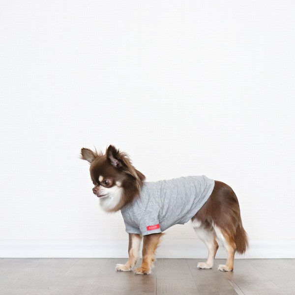 画像3: 蚊よけ生地のTシャツ（カモフラポケット×グレー） (3)