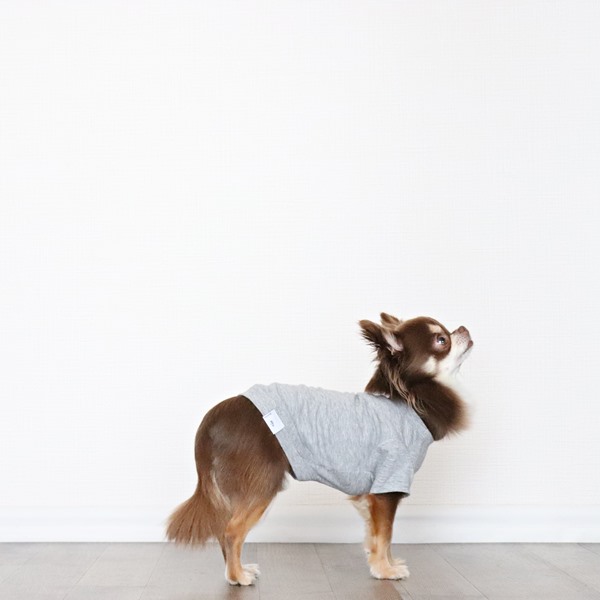 画像7: 蚊よけ生地のTシャツ（カモフラポケット×グレー） (7)