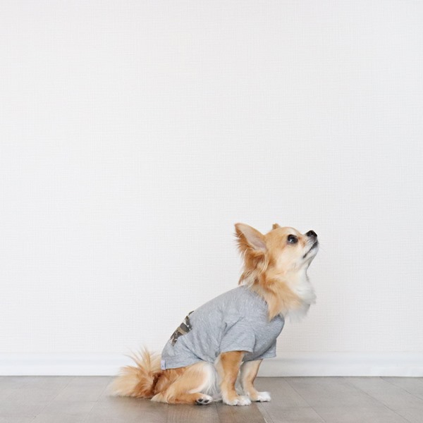 画像10: 蚊よけ生地のTシャツ（カモフラポケット×グレー） (10)