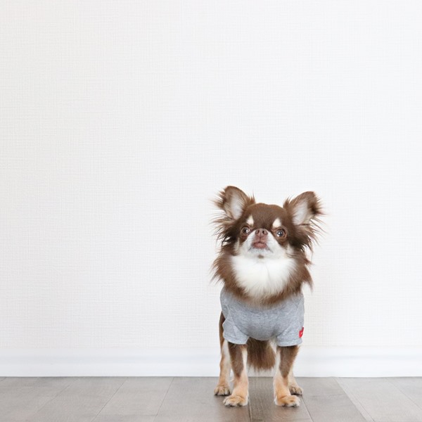 画像5: 蚊よけ生地のTシャツ（カモフラポケット×グレー） (5)