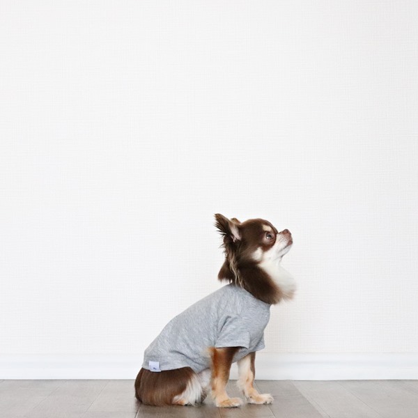 画像6: 蚊よけ生地のTシャツ（カモフラポケット×グレー） (6)