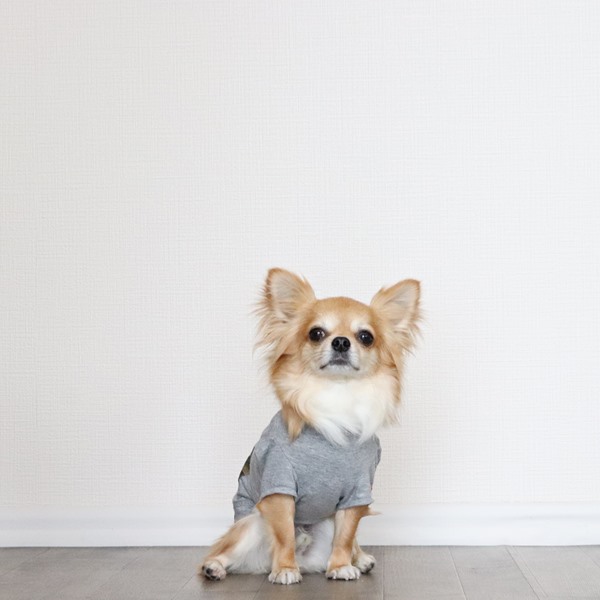 画像14: 蚊よけ生地のTシャツ（カモフラポケット×グレー） (14)